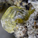 Wulfenita
Campo de visión 2,5 mm
(Autor: Juan Miguel)