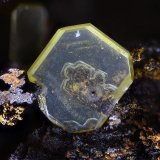 Wulfenita
Campo de visión 6 mm.
(Autor: Juan Miguel)