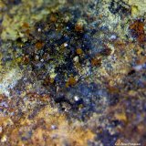 Wulfenita.
2´940 x 2´599 mm.
(Autor: Jesus Franquesa Baucells)