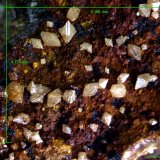 Wulfenita.
5´106 x 4´774 mm.
(Autor: Jesus Franquesa Baucells)