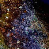 Wulfenita y Goethita.
5´702 x 4´874 mm.
(Autor: Jesus Franquesa Baucells)