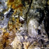 Wulfenita
0´701 x 0´498 mm.
(Autor: Jesus Franquesa Baucells)