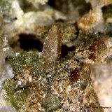 Wulfenita y Piromorfita.
0´713 x 0´308 mm.
(Autor: Jesus Franquesa Baucells)
