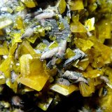 Wulfenita
80x70 mm.
(Autor: Jesus Franquesa Baucells)