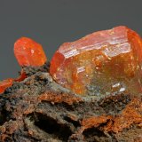 Wulfenita
cristal mayor 28x22 mm
(Autor: Ramon A  Lopez Garcia)