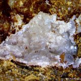 Wulfenita.
0´347 x 0´244 mm.
(Autor: Jesus Franquesa Baucells)