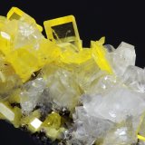 Wulfenita
35 x 25 mm
(Autor: Ramon A  Lopez Garcia)