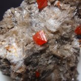 Wulfenita
25x25 mm
(Autor: Ignacio)