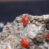 Wulfenita
25x25 mm
(Autor: Ignacio)