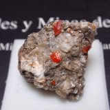 Wulfenita
25x25 mm
(Autor: Ignacio)