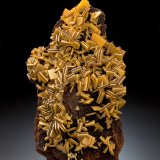 Wulfenita
13.5 x 8 x 4 cm / cristal principal: 1.5 cm
(Autor: Museo MIM)