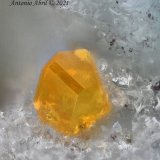 Wulfenita
0.9 mm
(Autor: Antonio Abril)