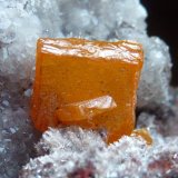 Wulfenita
Erupción Mine (Ahumada Mine), Los Lamentos Mountain Range, Municipio Ahumada, Chihuahua, Mexico
6 x 5 cm la pieza, 1 x 1cm. el cristal mayor
(Autor: javier ruiz martin)