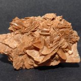 Yeso
5,5x3,5 cm
(Autor: Ander Ispizua Juan)