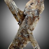 Yeso
100 x 60 x 8 mm.
(Autor: José Luis Zamora)