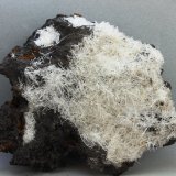 Yeso
92x78 mm
(Autor: Juan Espino)