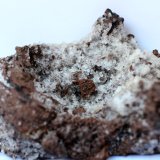 Yeso
80 x 45 x 35 mm
(Autor: José Luis Zamora)