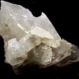 Yeso
60 x 40 x 40 mm.
(Autor: José Luis Zamora)