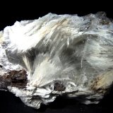 Yeso con Celestina interior.
70x45 mm
(Autor: Jesus Franquesa Baucells)