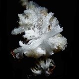 Yeso.
100x70 mm.
(Autor: Jesus Franquesa Baucells)
