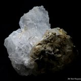 Yeso.
160x110 mm.
(Autor: Jesus Franquesa Baucells)