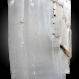 Yeso
75 x 42 x 20 mm
(Autor: José Luis Zamora)