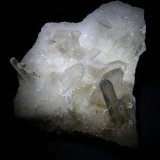 Yeso.
80x70 mm.
(Autor: Jesus Franquesa Baucells)