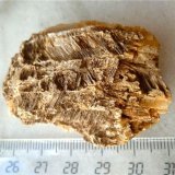 Yeso
5 cm.
(Autor: María Jesús M.)