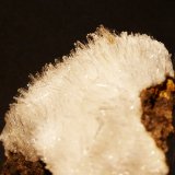Yeso
7x6,5 cm
(Autor: Ander Ispizua Juan)