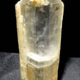Yeso.
67x23x13 mm.
(Autor: Jesus Franquesa Baucells)