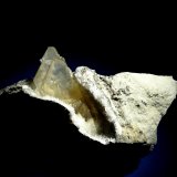 Yeso
70x50 mm.
(Autor: Jesus Franquesa Baucells)