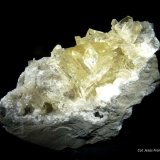 Yeso.
80x40 mm.
(Autor: Jesus Franquesa Baucells)