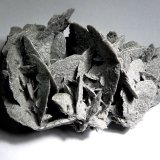 Yeso.
110x70 mm.
(Autor: Jesus Franquesa Baucells)