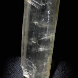 Yeso.
61x18x7 mm.
(Autor: Jesus Franquesa Baucells)