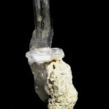 Yeso
64x21 mm
(Autor: Jesus Franquesa Baucells)