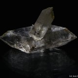 yeso
55x25 mm
(Autor: Jesus Franquesa Baucells)