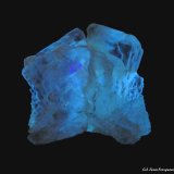 Yeso
83x80 mm.
(Autor: Jesus Franquesa Baucells)
