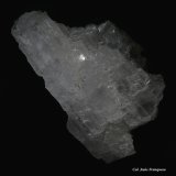 Yeso.
80x50 mm.
(Autor: Jesus Franquesa Baucells)