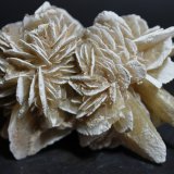 Yeso
80 x 60 mm
(Autor: Joaquin Blanco Cortina)