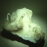 Yeso
90x70 mm.
(Autor: Jesus Franquesa Baucells)