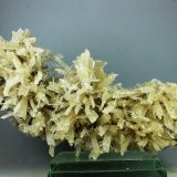 Yeso
145X64X32 mm
(Autor: Juan Espino)