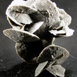 Yeso
80 x 56 x 32 mm.
(Autor: José Luis Zamora)