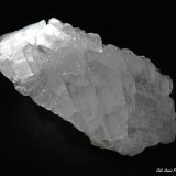 Yeso
66x56 mm.
(Autor: Jesus Franquesa Baucells)