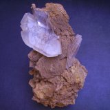 Yeso
14 x 10 x 6 cm
(Autor: Antonio Alcaide)