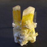 Yeso
7,5 x 4 x 3 cm
(Autor: Antonio Alcaide)