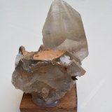 Yeso
11 x 9 x 6 cm
(Autor: Antonio Alcaide)