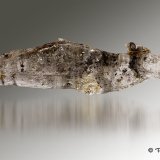 Yeso
15cm x 3,5cm x 2cm
(Autor: Pere Alonso)
