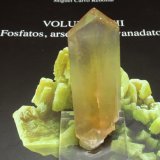 Yeso
25x70 mm.
(Autor: Ignacio)