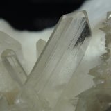 Yeso
80x70 mm
(Autor: Ignacio)