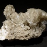 Yeso
8x6 cm
(Autor: Ander Ispizua Juan)